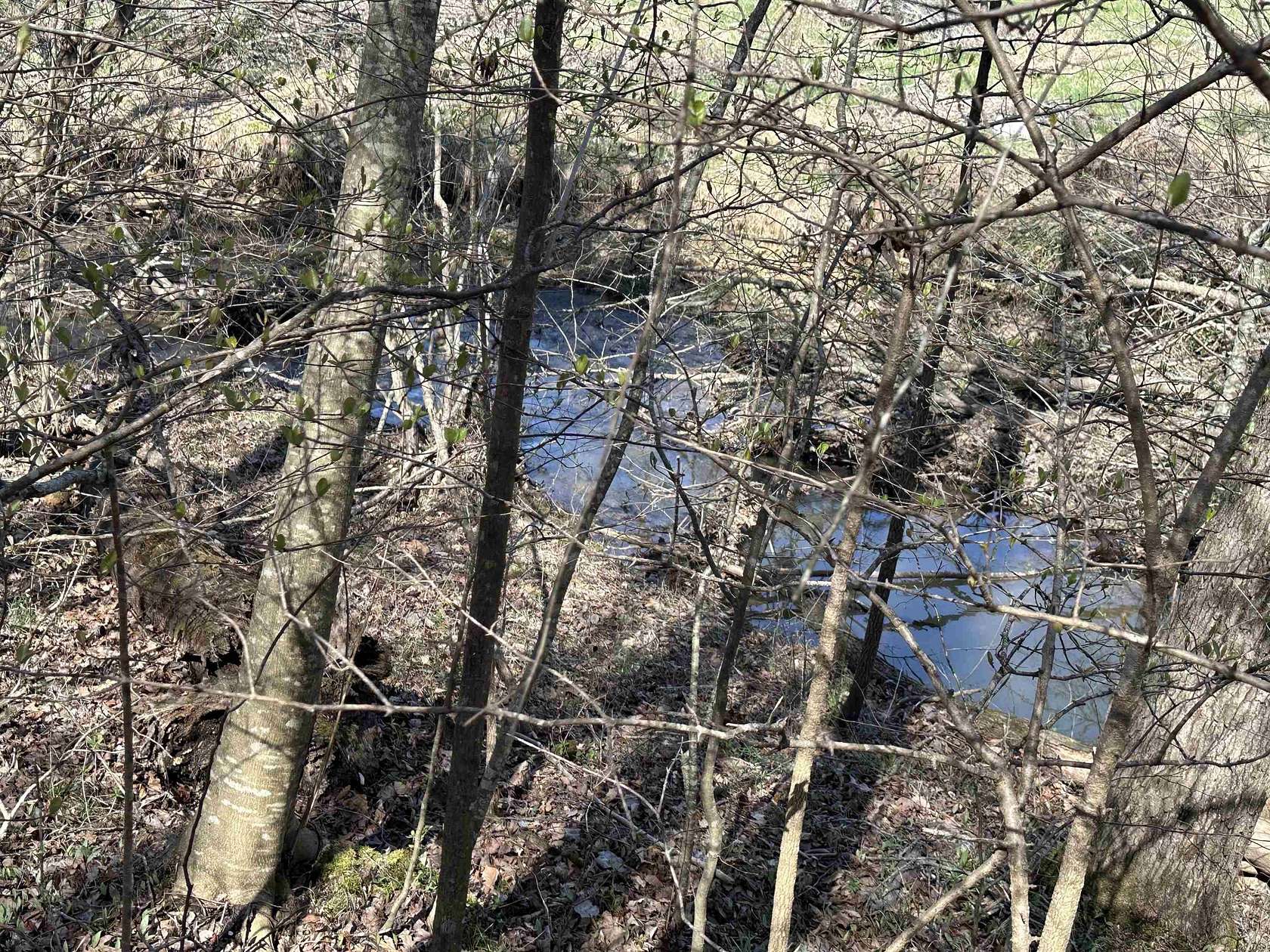 5 Acres of Land for Sale in Savannah, Tennessee