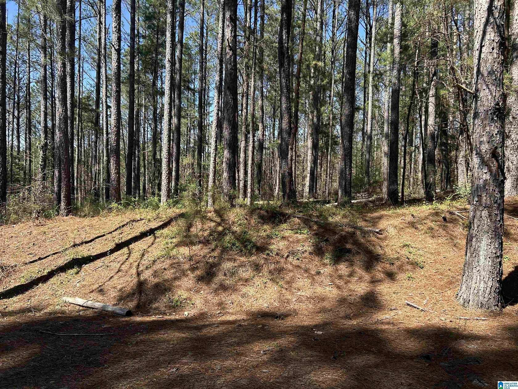 6.1 Acres of Residential Land for Sale in Brookwood, Alabama