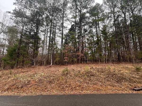 0.42 Acres of Residential Land for Sale in Parsons, Tennessee