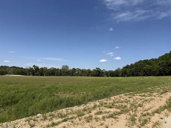 21.7 Acres of Land for Sale in Ozark, Missouri
