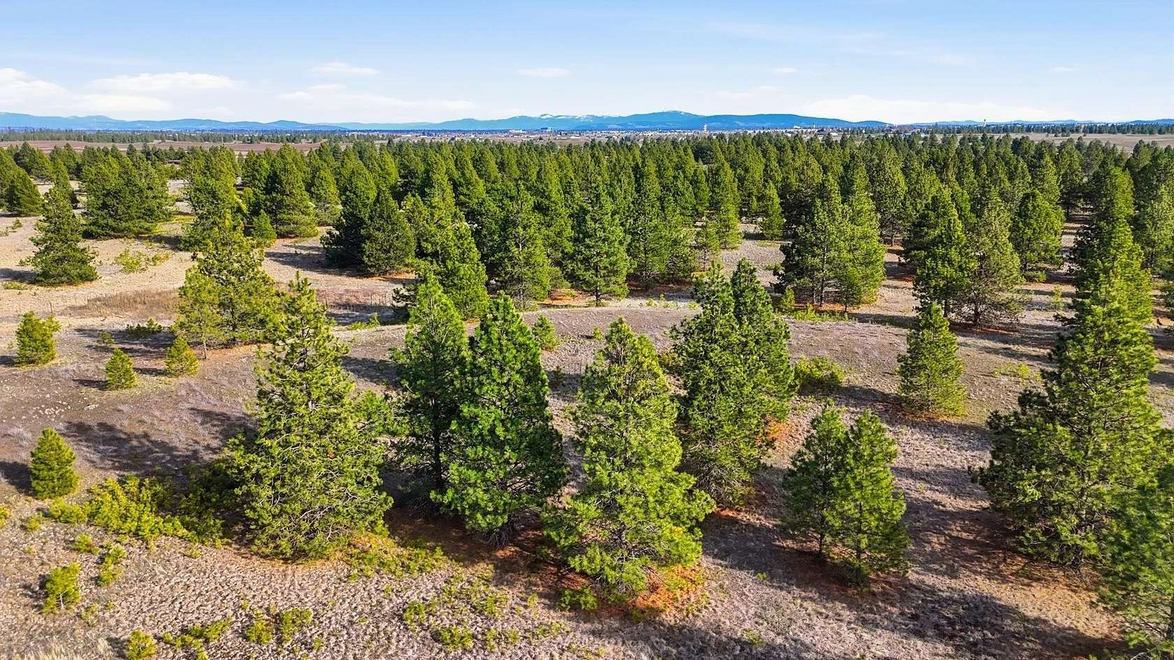 10.1 Acres of Commercial Land for Sale in Medical Lake, Washington