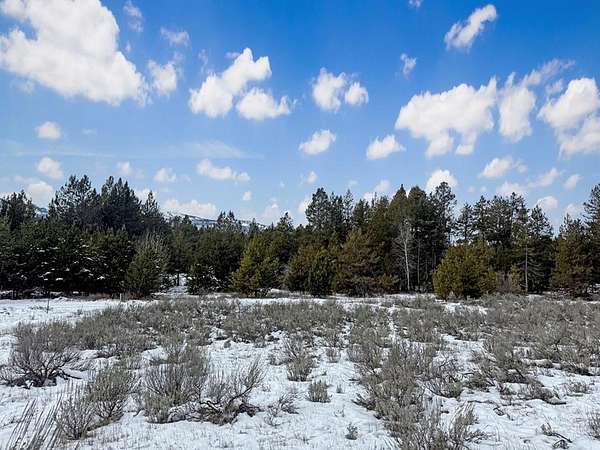 0.23 Acres of Residential Land for Sale in Cascade, Idaho
