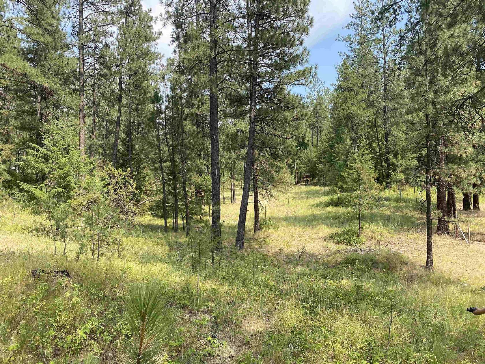 5.17 Acres of Residential Land for Sale in Elk, Washington