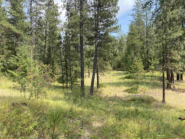 5.17 Acres of Residential Land for Sale in Elk, Washington