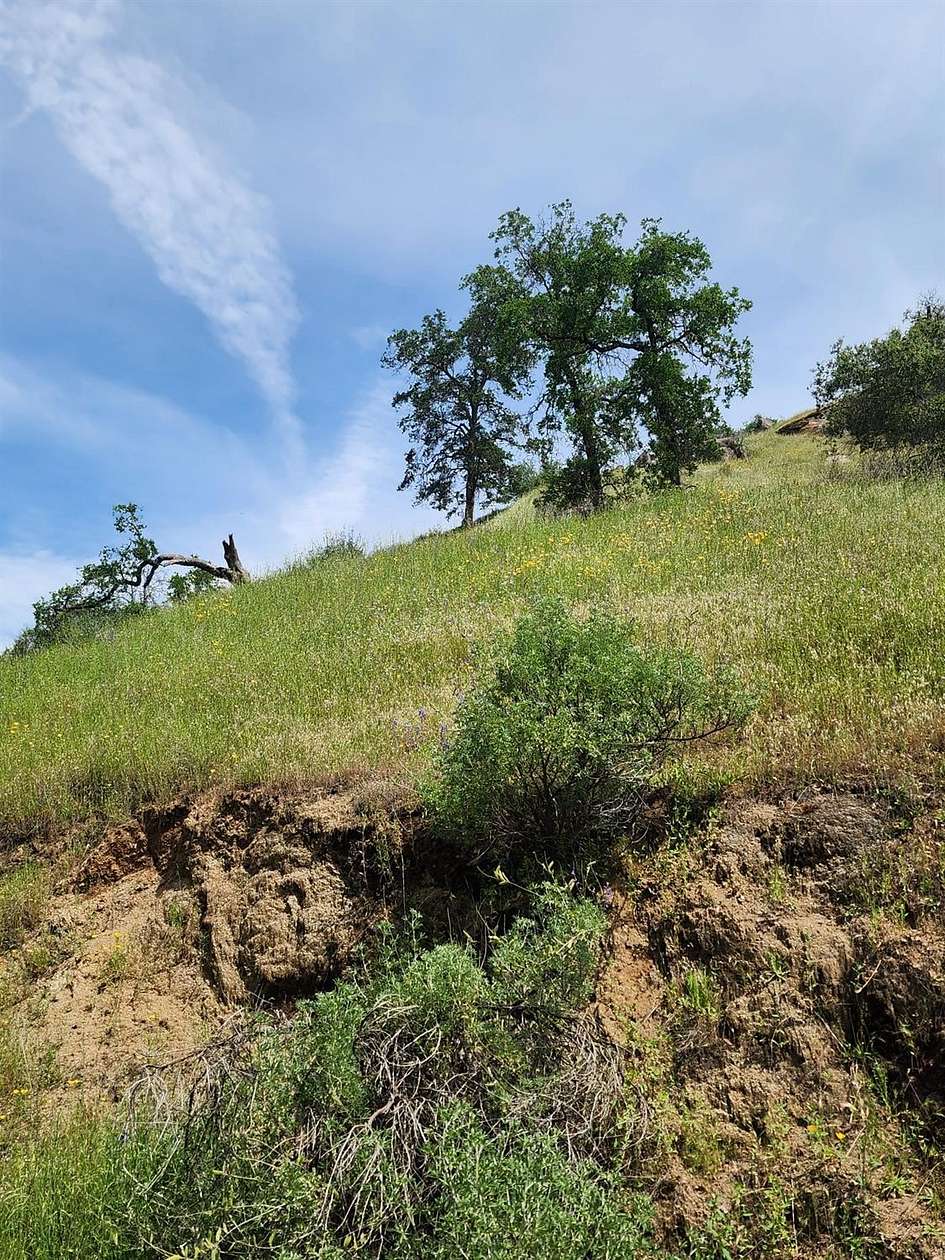 6.55 Acres of Residential Land for Sale in Squaw Valley, California