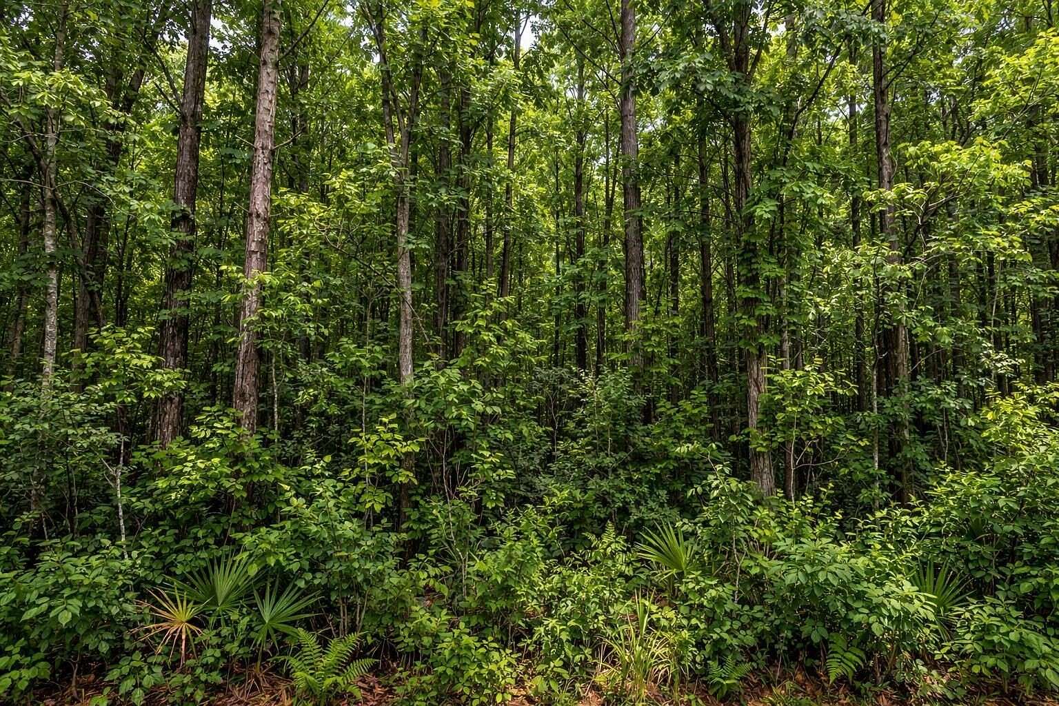 0.17 Acres of Residential Land for Sale in Mullins, South Carolina