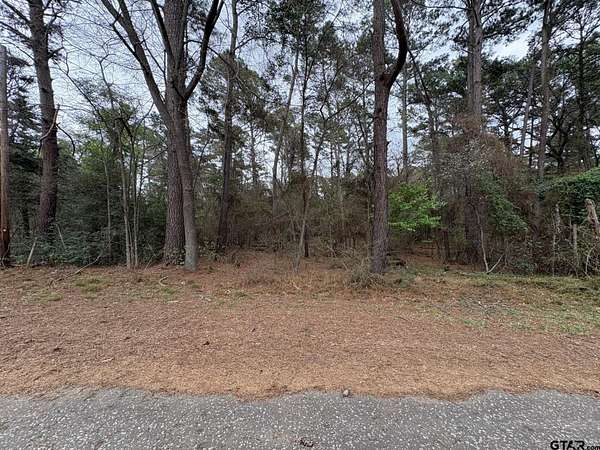 0.17 Acres of Residential Land for Sale in Bullard, Texas