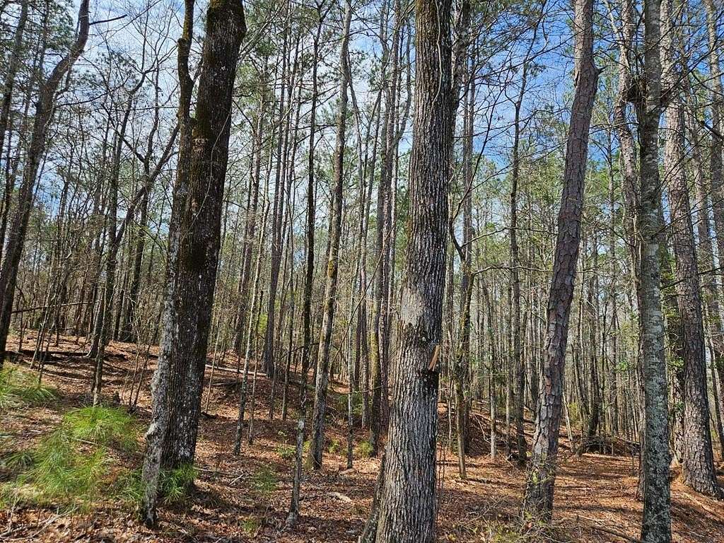 90.2 Acres of Recreational Land for Sale in Fortson, Georgia
