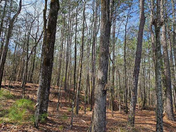 90.2 Acres of Recreational Land for Sale in Fortson, Georgia