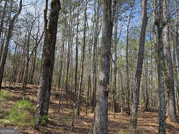 90.2 Acres of Recreational Land for Sale in Fortson, Georgia