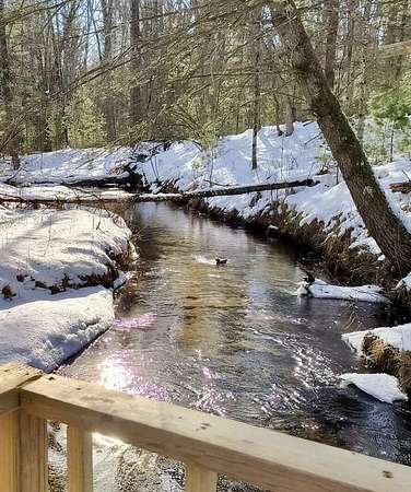 20 Acres of Recreational Land with Home for Sale in Chase, Michigan