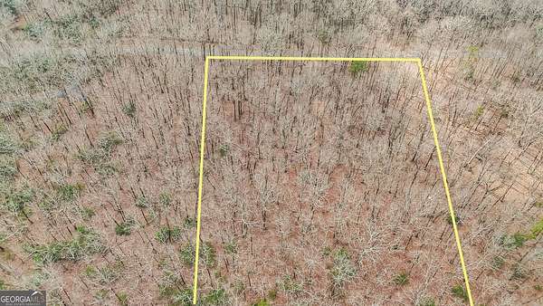 10 Acres of Residential Land for Sale in Jasper, Georgia
