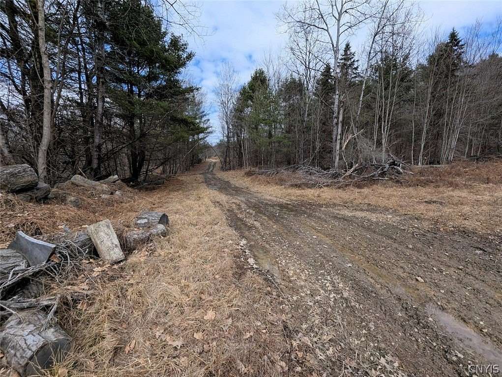 57.8 Acres of Recreational Land for Sale in Lindley, New York