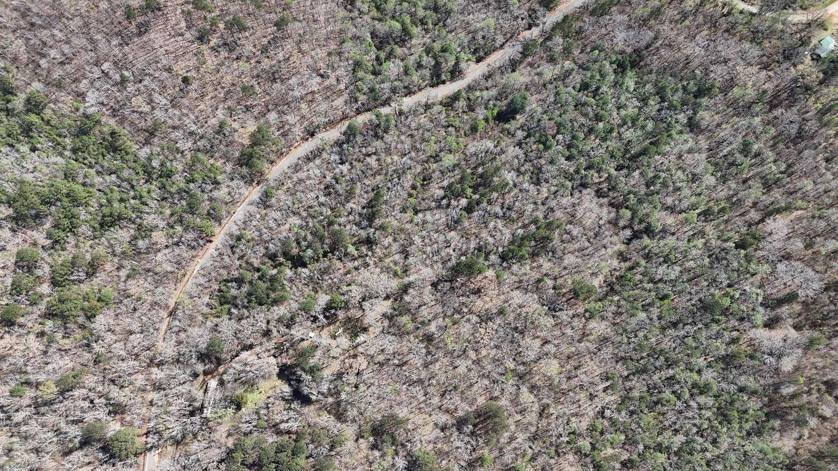 Residential Land for Sale in Hamilton, Mississippi