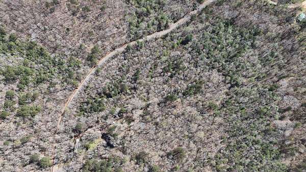 Residential Land for Sale in Hamilton, Mississippi