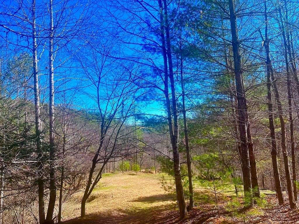 53.3 Acres of Land for Sale in Independence, Virginia