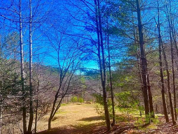 53.3 Acres of Land for Sale in Independence, Virginia