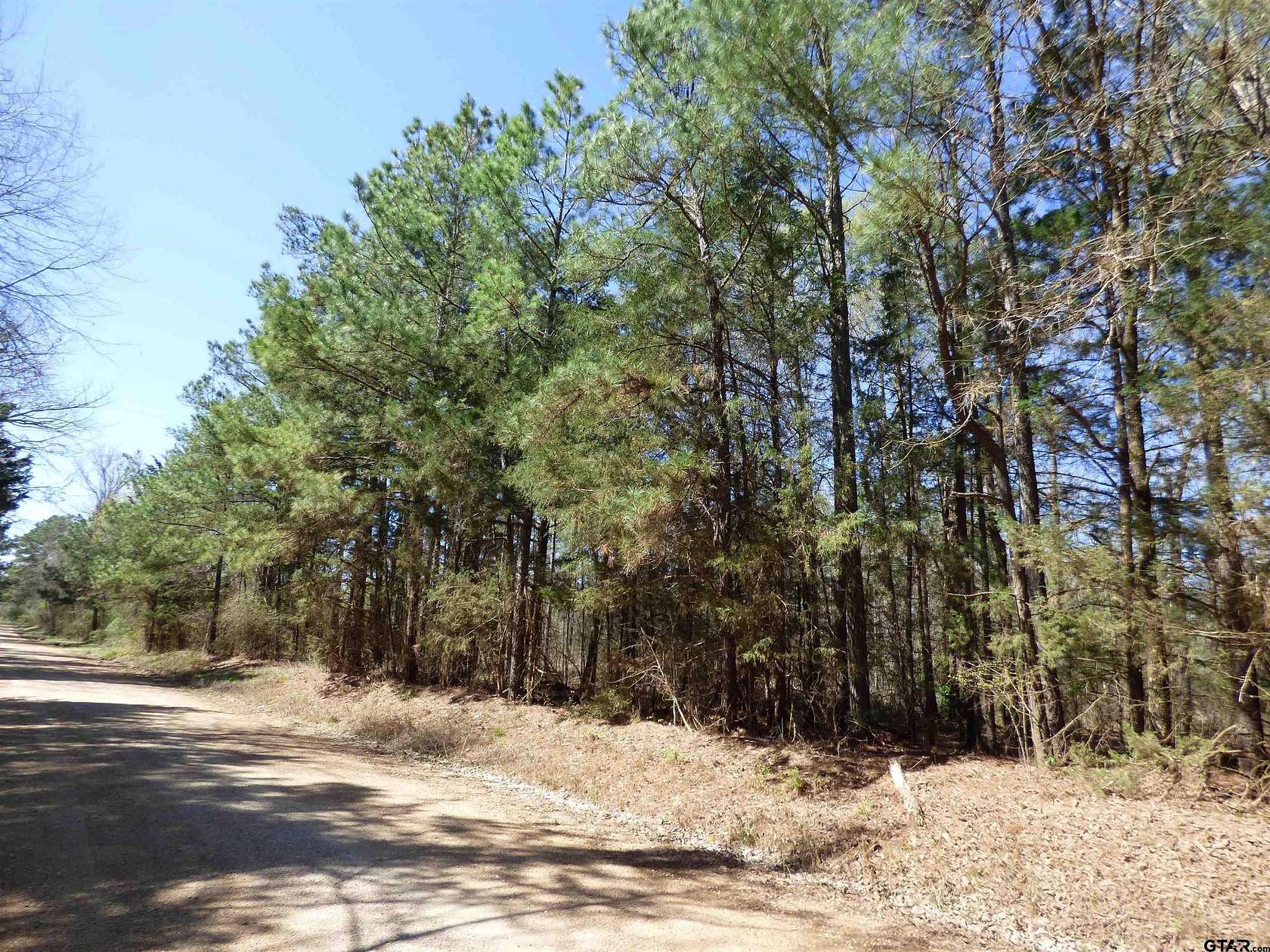 19 Acres of Recreational Land for Sale in De Kalb, Texas