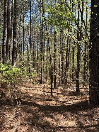 27 Acres of Recreational Land for Sale in Greensboro, Georgia