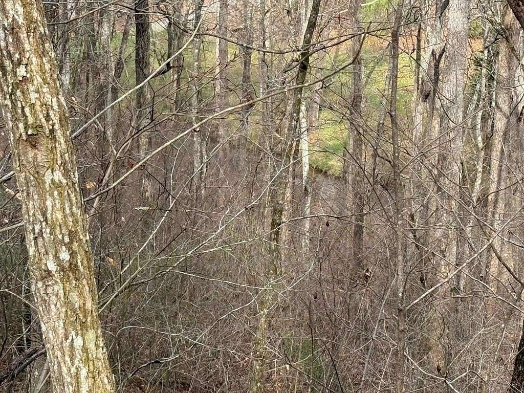 1.14 Acres of Residential Land for Sale in Hiawassee, Georgia