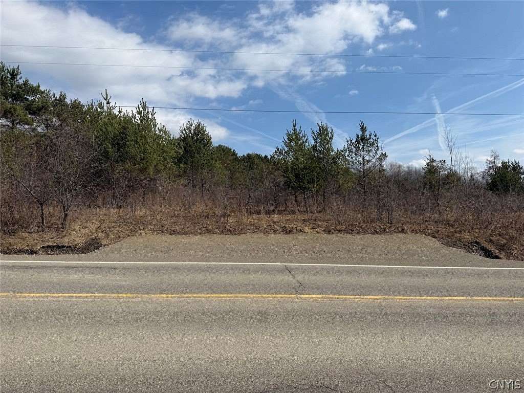 10 Acres of Recreational & Residential Land for Sale in Friendship, New York