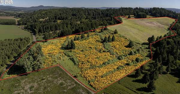 47.3 Acres of Agricultural Land for Sale in Forest Grove, Oregon