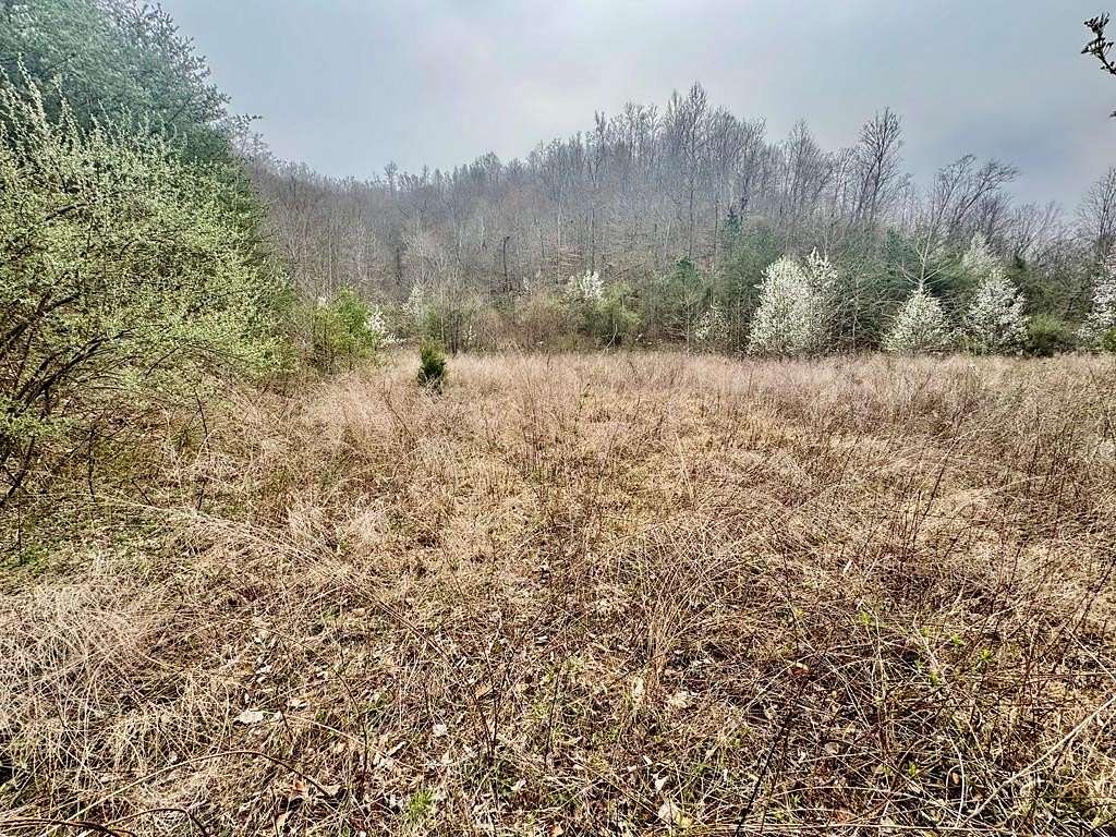 55 Acres of Recreational & Residential Land for Sale in Hagerhill, Kentucky