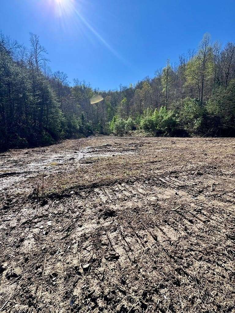 55 Acres of Recreational & Residential Land for Sale in Hagerhill, Kentucky
