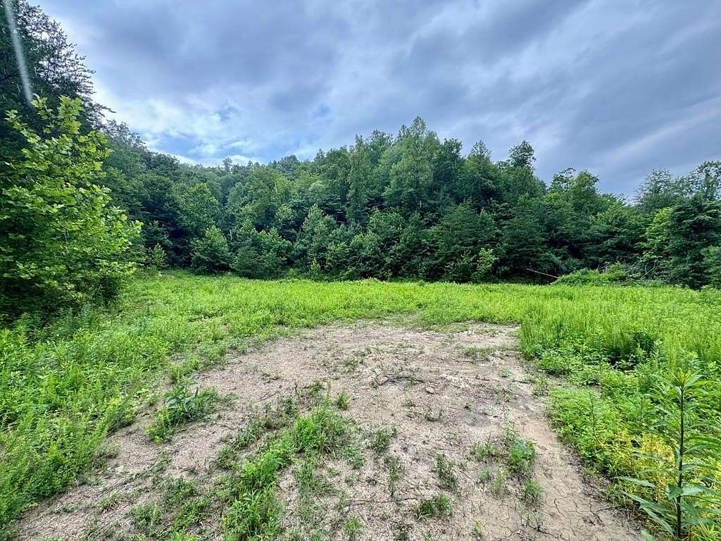 55 Acres of Recreational & Residential Land for Sale in Hagerhill, Kentucky