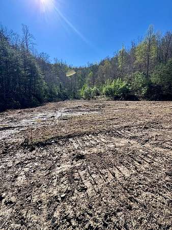 55 Acres of Recreational & Residential Land for Sale in Hagerhill, Kentucky