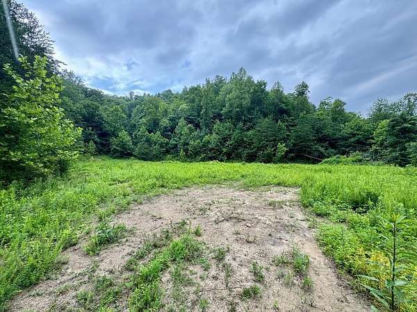 55 Acres of Recreational & Residential Land for Sale in Hagerhill, Kentucky