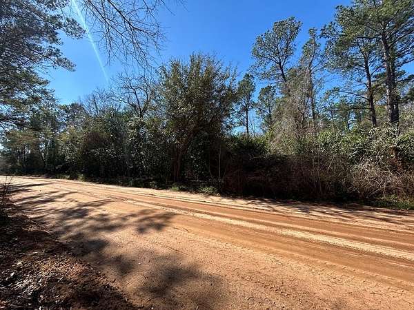 8.44 Acres of Residential Land for Sale in Jakin, Georgia