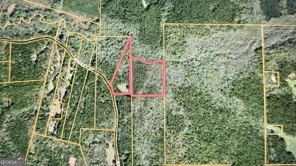 20 Acres of Land for Sale in Greenville, Georgia