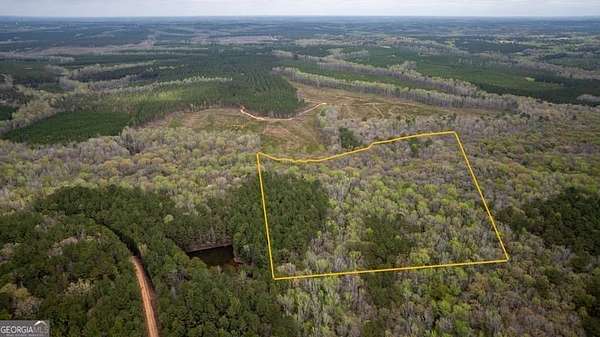 20 Acres of Land for Sale in Greenville, Georgia