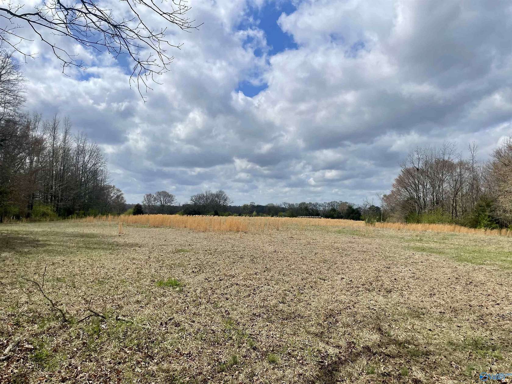 77 Acres of Land for Sale in Town Creek, Alabama