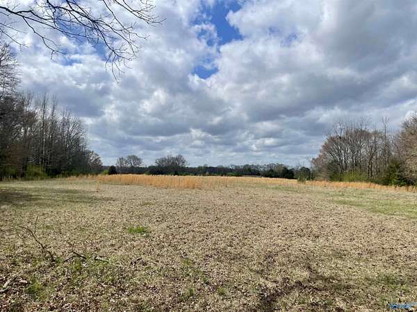 77 Acres of Land for Sale in Town Creek, Alabama