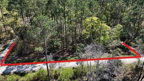 0.6 Acres of Residential Land for Sale in Citra, Florida