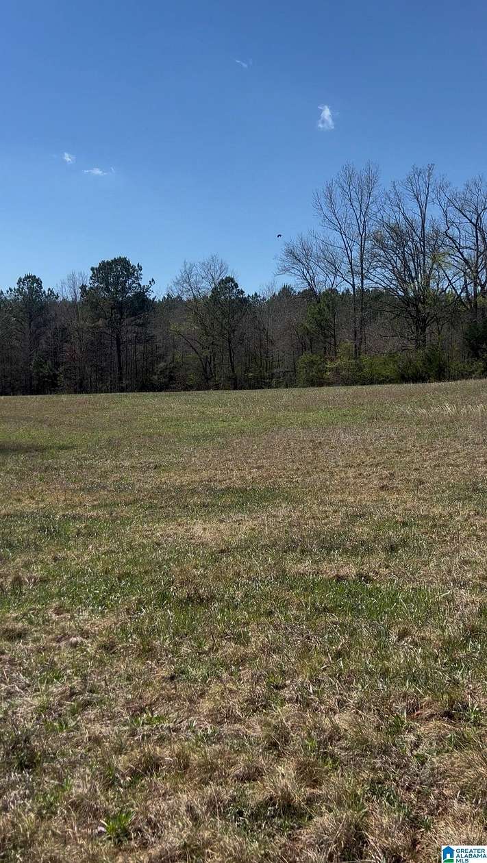 29.4 Acres of Recreational Land for Sale in Calera, Alabama