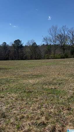 29.4 Acres of Recreational Land for Sale in Calera, Alabama
