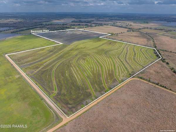 150 Acres of Agricultural Land for Sale in Church Point, Louisiana