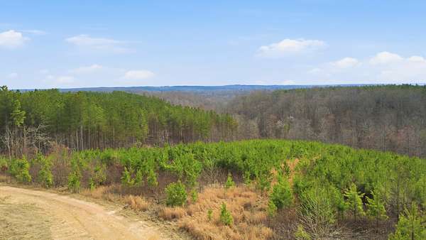 6.17 Acres of Residential Land for Sale in Dover, Tennessee