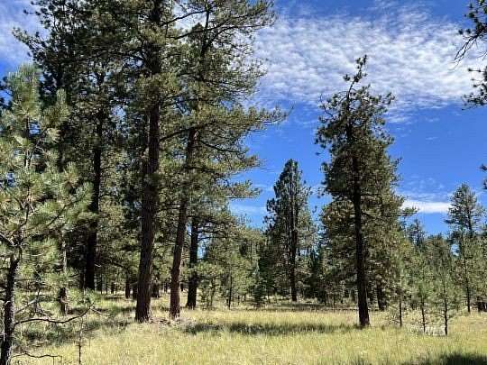 7.3 Acres of Residential Land for Sale in Westcliffe, Colorado