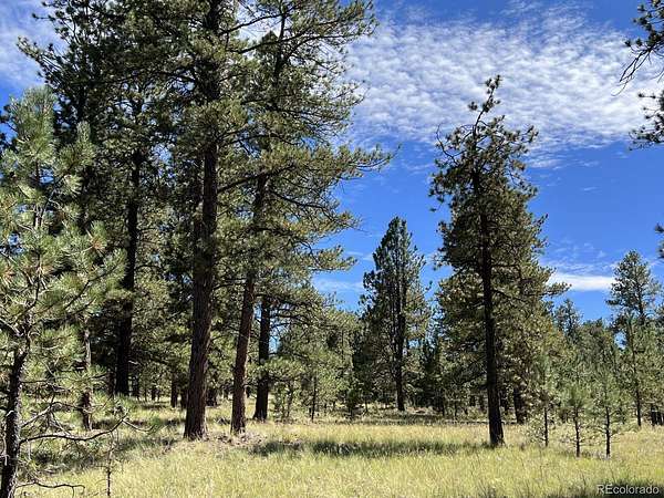 7.3 Acres of Residential Land for Sale in Westcliffe, Colorado