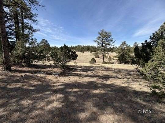 5.32 Acres of Residential Land for Sale in Texas Creek, Colorado