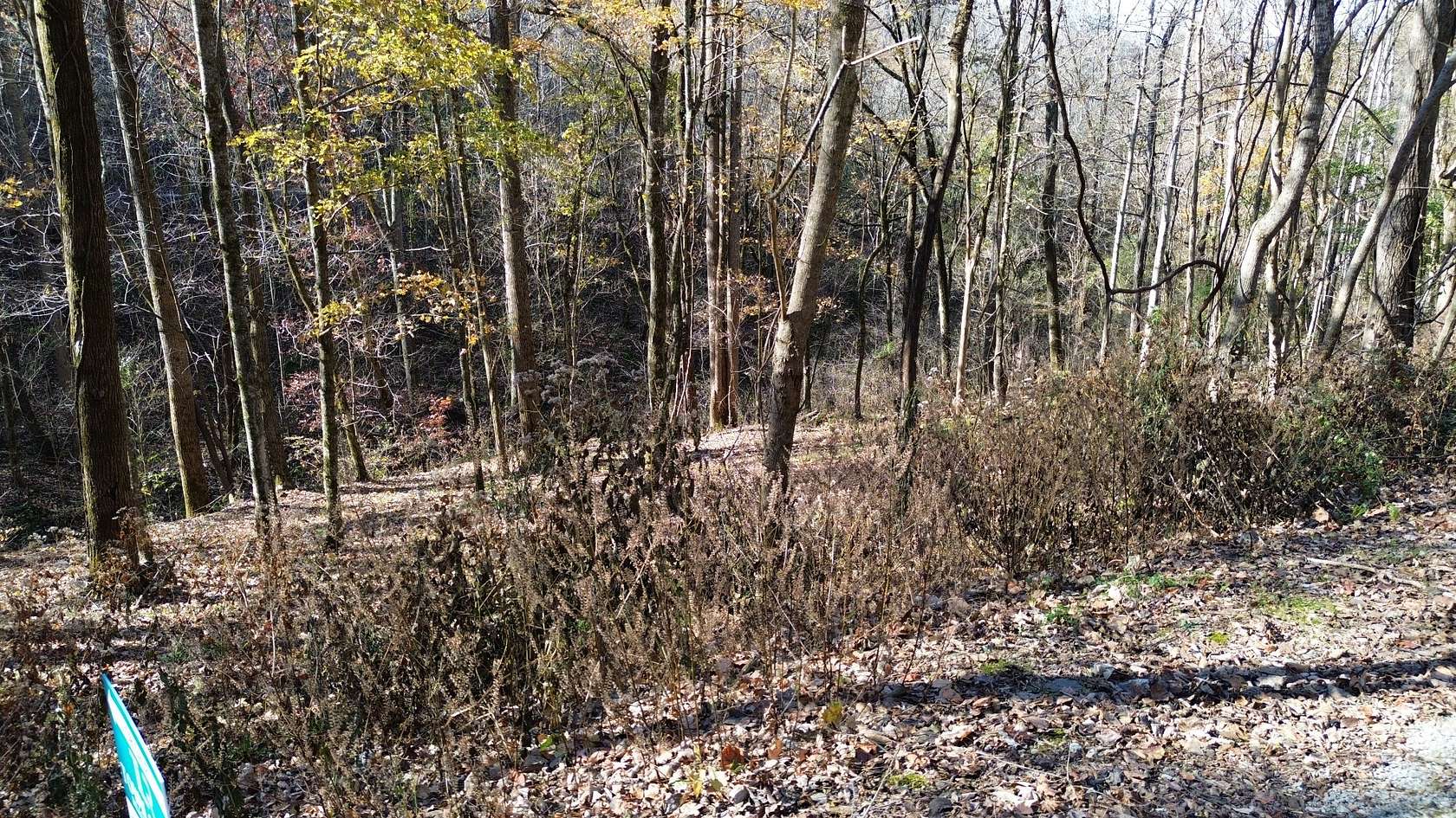 0.71 Acres of Residential Land for Sale in Smithville, Tennessee