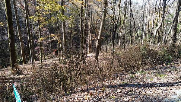 0.71 Acres of Residential Land for Sale in Smithville, Tennessee