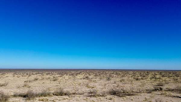 40 Acres of Recreational & Residential Land for Sale in Imperial, Texas