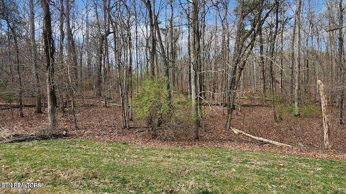1 Acre of Residential Land for Sale in Rockwood, Tennessee