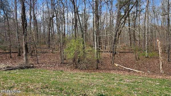 1 Acre of Residential Land for Sale in Rockwood, Tennessee