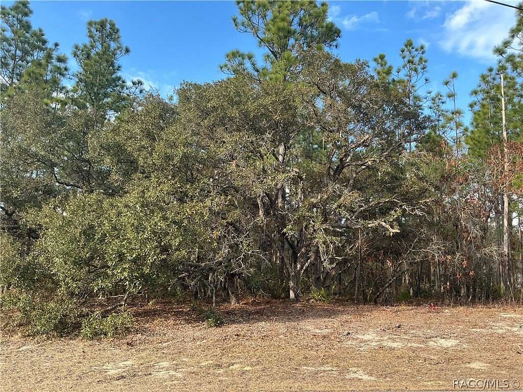0.33 Acres of Residential Land for Sale in Citrus Springs, Florida